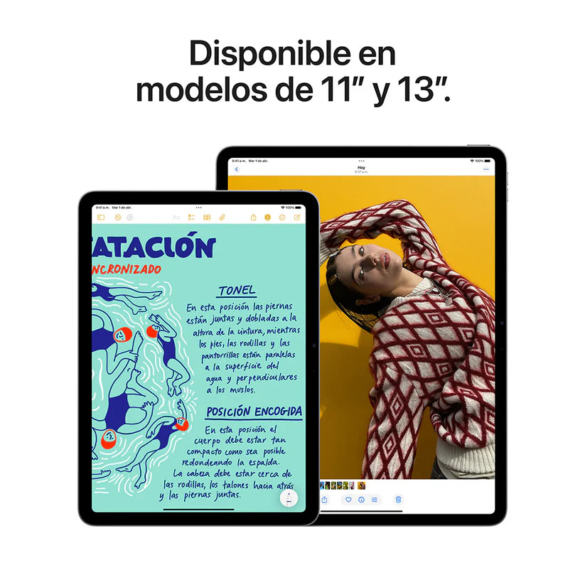 Ipad Air 13¨M3